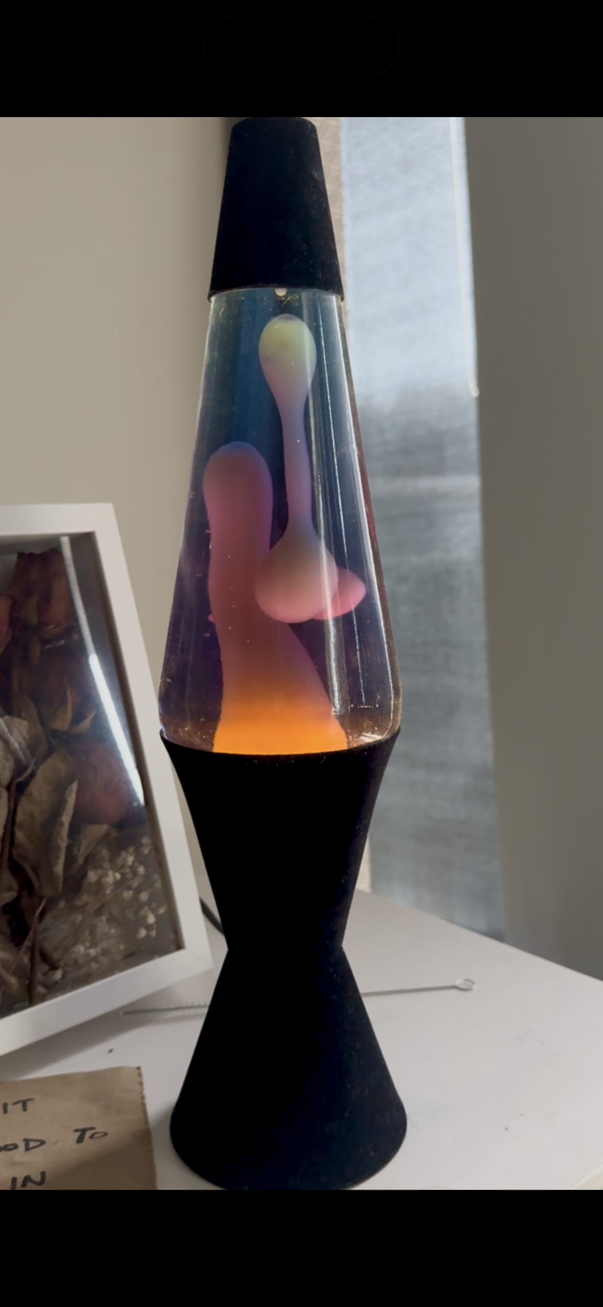 Sherbet motion lamp